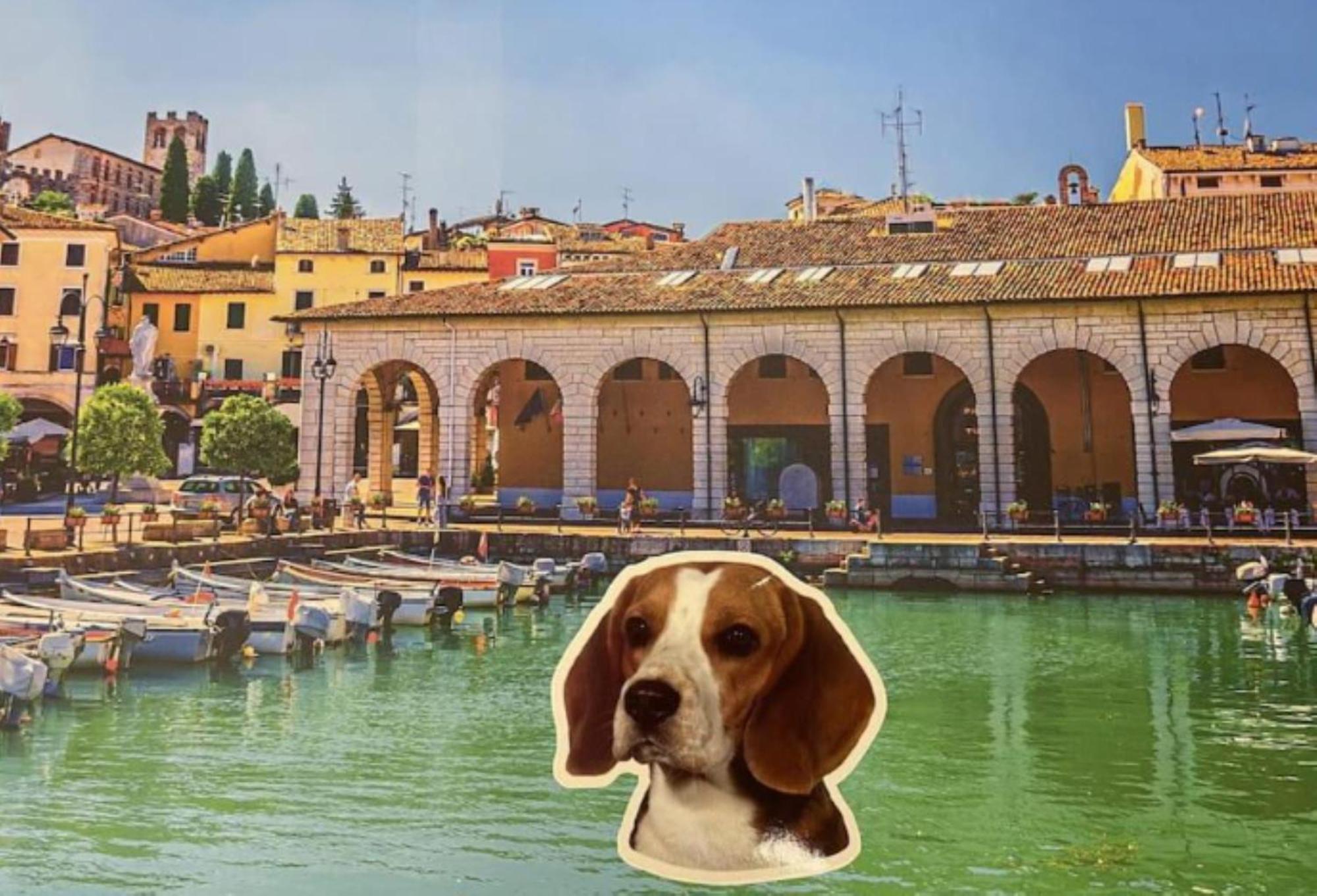 Desenzanoloft Official Partner Marriott Homes & Villas - Jack'S Penthouse Desenzano del Garda Extérieur photo